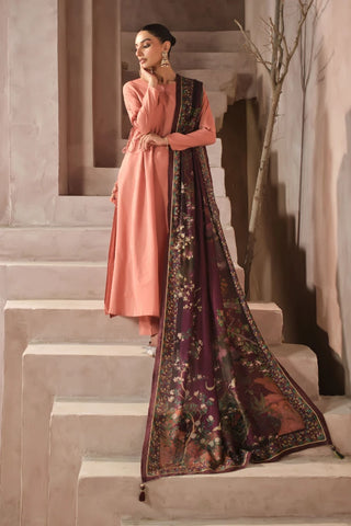 Kashish (Attraction) - Shawl