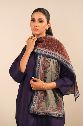 Talaash (Search) - Stole