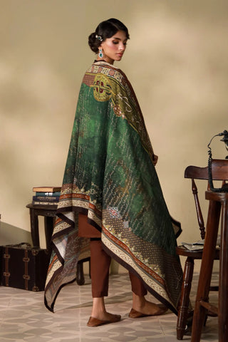 Azaad (Shared Freedom) - Shawl