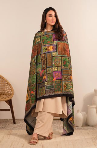 Mumkin (Possibilities Of Life) - Shawl