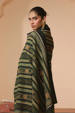 Tehreek (Movement) - Shawl
