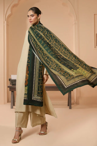 Inqilab (Revolution) - Shawl