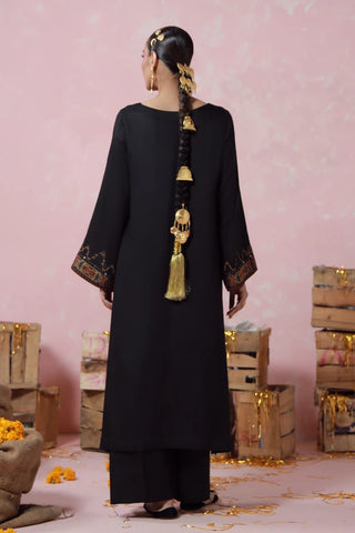 Chandni (Moonlight) - Co-ord Set