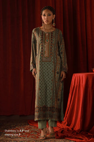 Zebunnisa (Beautiful Women) -  Green Velvet Set