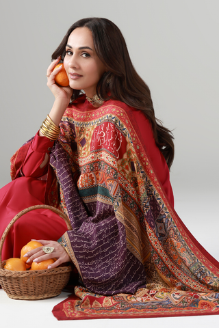 Rehbar (Guide) - Shawl