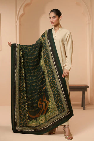 Inqilab (Revolution) - Shawl