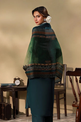 Jashn (Celebration of the Soil) - Scarf
