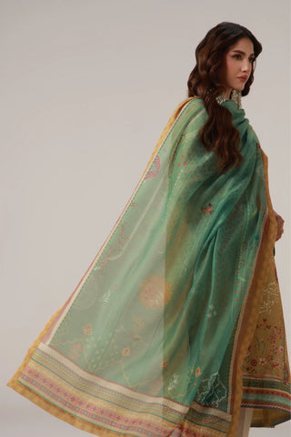 Sunaina (Graceful-Eyed) - 2 Piece Set