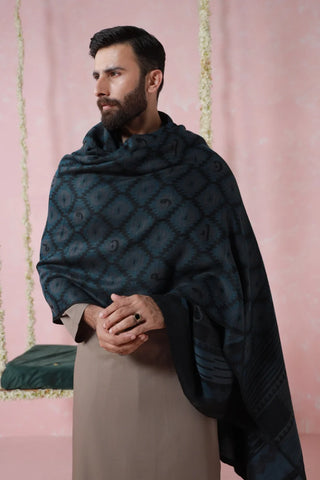 Parwana - Teal Weaved Shawl